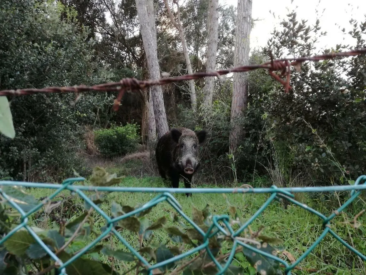 Villa Paradisino Orbetello 0*,  Italy